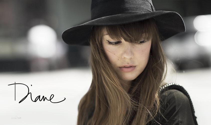 diane birch