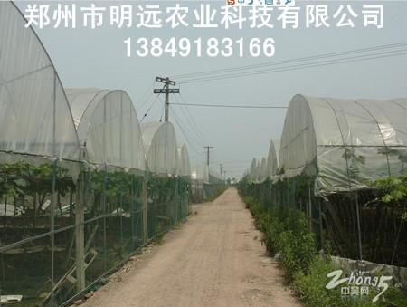 郑州简易钢管蔬菜大棚 焦作大棚骨架设备 塑料拱棚