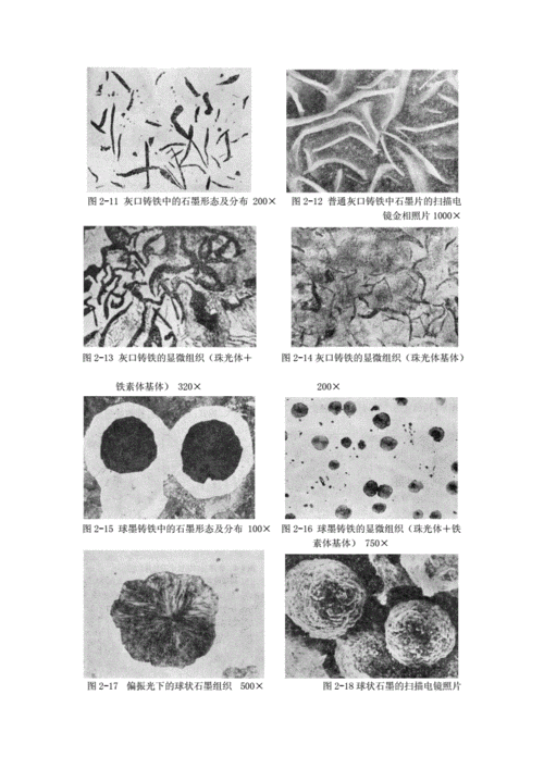 二铁碳合金的金相显微组织观察(精品).docx