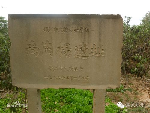 尚岗杨遗址第六批公布郑州市高新区石佛镇小双桥村南商小双桥遗址第六