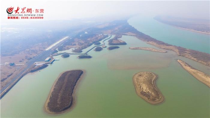 黄河入海静水悠扬