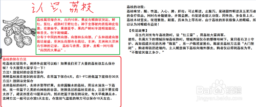 怎样写有荔枝的手抄报 怎样写手抄报