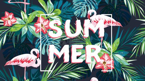 热带植物丛中的火烈鸟