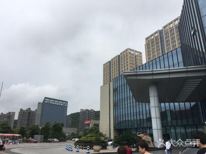 海中洲国际大酒店图片 - 第6张