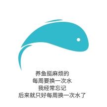 养鱼表情包搞笑