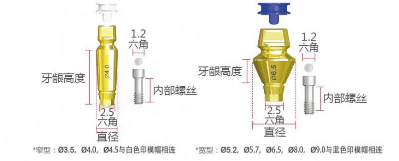 1,is取帽印模转移杆