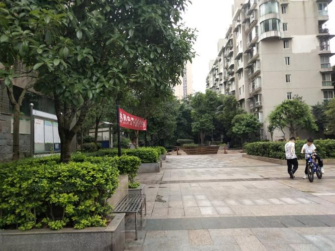 金山国际,晨望路8号-内江金山国际二手房,租房,房价