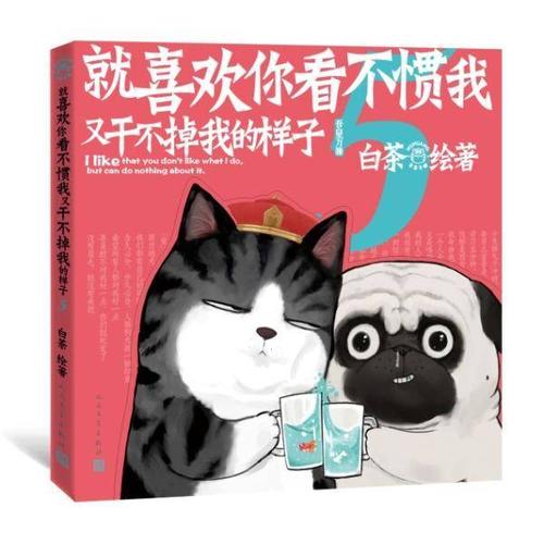 吾皇和巴扎黑的新故事:关注流浪猫的境遇