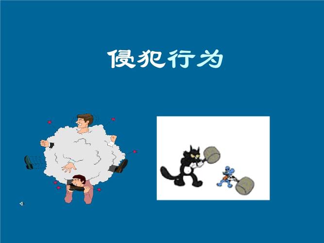 009侵犯行为精选.ppt 65页