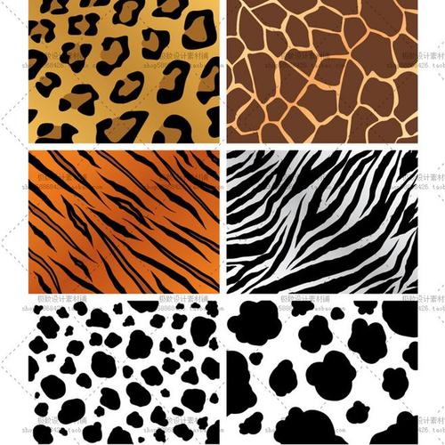 25个eps 斑马纹 豹纹 动物花纹图案 矢量图 设计素材