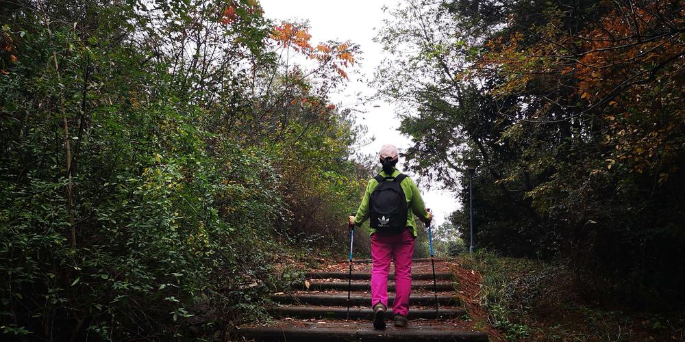 11月28日:去江夏登山