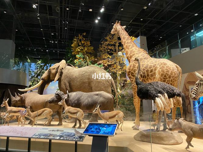 浙江自然博物馆安吉分馆_自然博物馆_周末_浙江自然博物园自由行热门