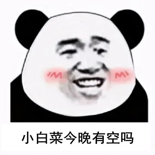 小白菜今晚有空吗表情包