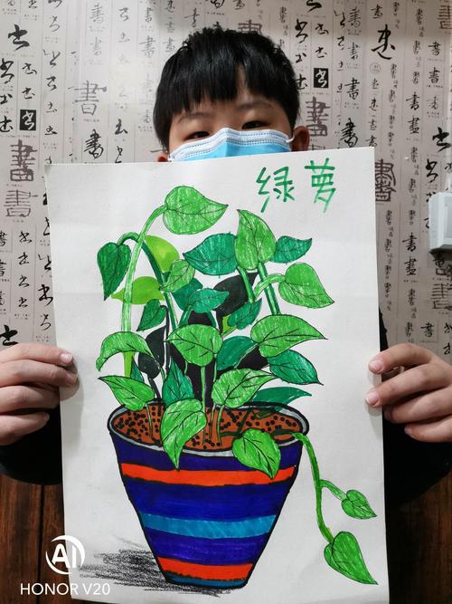 2020/11/07-08黑白画室初级三班【写生——绿萝】辅导