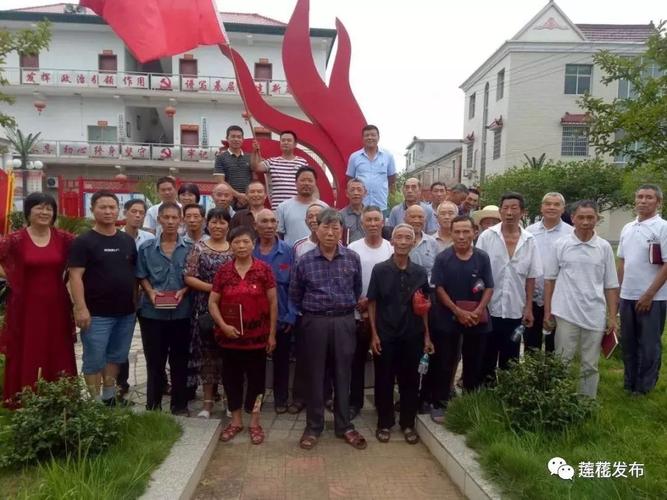 莲花大变样乡镇篇坊楼镇2018年工作回眸
