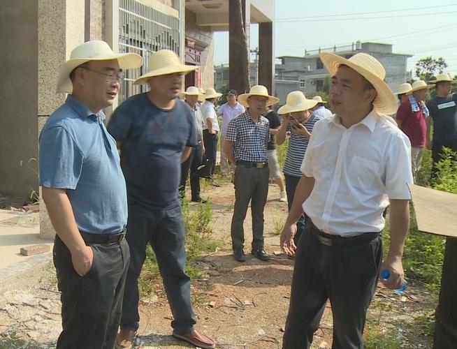 杨波在龙港高黄村调研乡村振兴工作