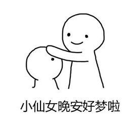 表情小仙女晚安好梦啦表情