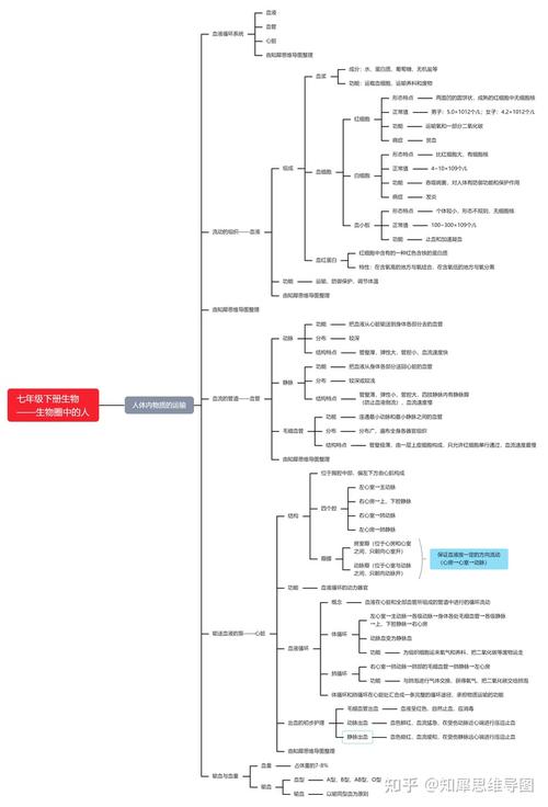 七年级下册生物思维导图,初一生物知识点脑图整理_知犀思维导图