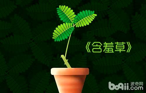 可以预报天气的植物有哪些