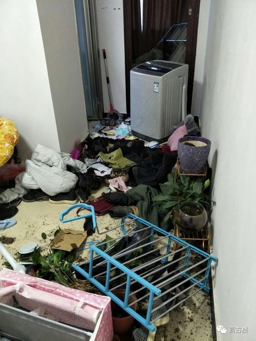 今日一美女遇到难题了,男朋友很暴力一言不合就砸东西,这可怎么办呢?