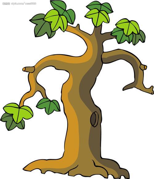 卡通大树树干简笔画