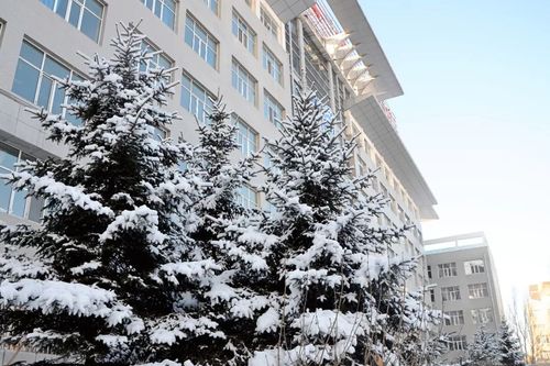 黑龙江工商学院哈南校区专题丨冬日诗话耳旁听校园归雪我归卿