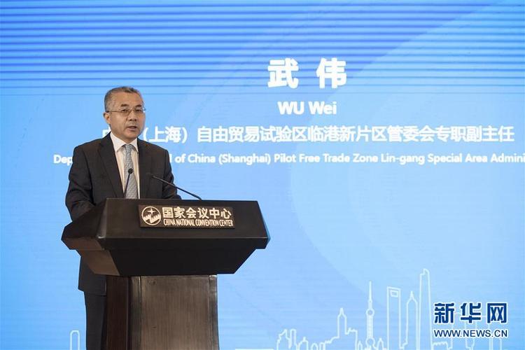 9月5日,中国(上海)自由贸易试验区临港新片区管委会专职副主任武伟在