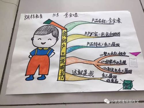 思维导图作文项目加盟,寒假加盟学习好时机