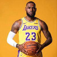湖人詹姆斯头像图片大全_微信头像图片大全
