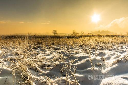 霜对字段和雪,冬季景观与天空和霜阳光明媚的早晨的太阳
