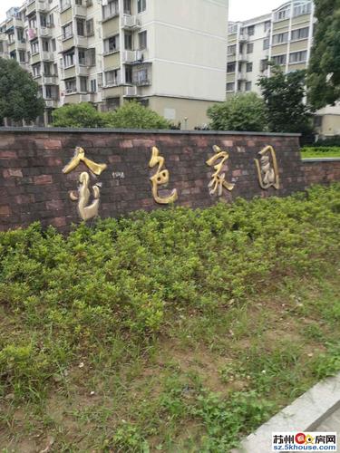 新区一区房金色家园自住保养好楼层