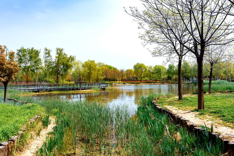 郑州龙湖湿地公园