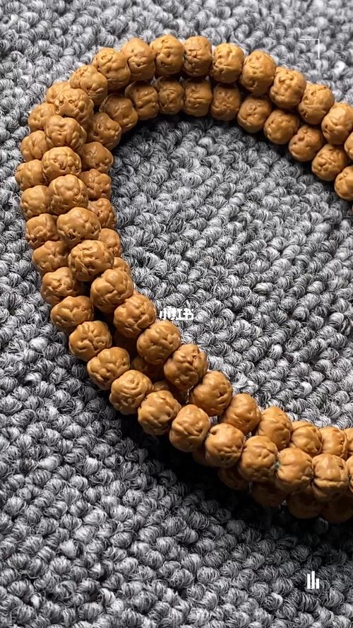 五爪金龙99矮桩佛手 孤品 最规整的佛手小金刚 三日