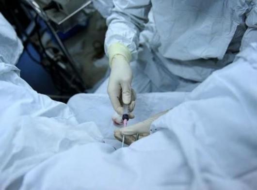 图片说明:实拍:人工取卵受精全过程1,试管婴儿登记体检:我们国家的