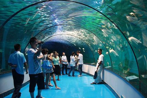 第二课堂寿光极地海洋世界 历史文博博物馆一日游