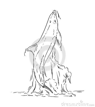 海豚从水里跳出来的简笔画