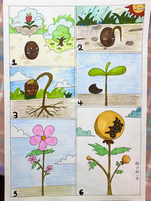 生命的律动—植物的生长过程_儿童画_手工制作_寒假去