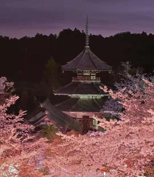 吉野山以樱花闻名,3万棵以上的樱花树林,就像瀑布一样从山上倾泻而下