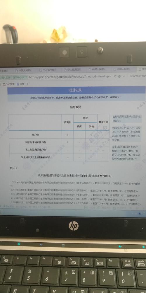 刚才用电脑查了征信报告,怎么就显示这么多?