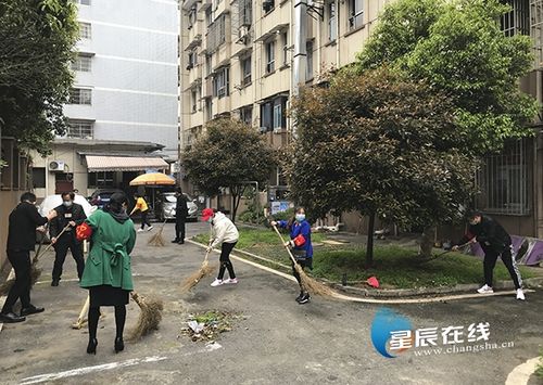 芙蓉区东屯渡街道志愿者进小区大清扫