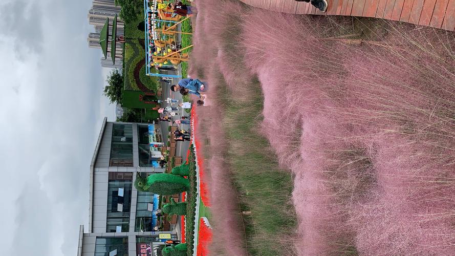 新都音乐百花谷2020.10.6日