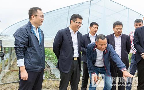 平阳县委书记章寿禹前往萧江镇调研经济高质量发展工作