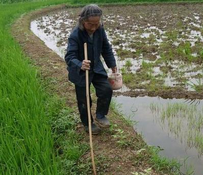 闲不住的农村人,活到老干到老