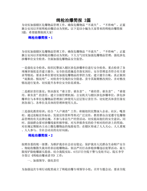 缉枪治爆简报3篇doc