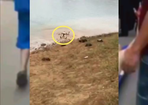 原创男子表演高台冲刺跳水失败摔在硬土地上,四肢血肉模糊,不作不死