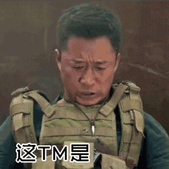 战狼二表情包!