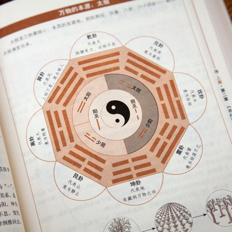 新华文轩网络书店:易经全书正版图解周易大全 图解易经 摆摊算命风水