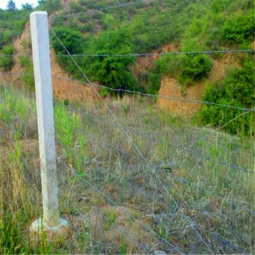 包头专业施工安装刺丝围栏刺铁丝护栏防爬防盗刺绳围网