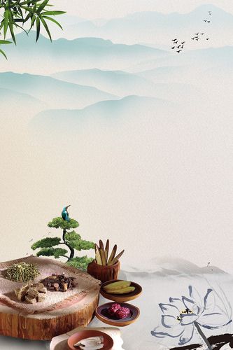 > 中药养生背景