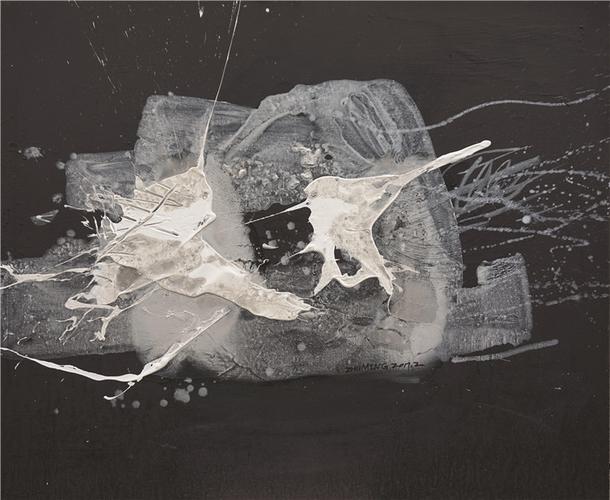 江苏艺术展览馆,常州恽南田美术馆,被收入《江苏当代艺术年鉴·2016卷